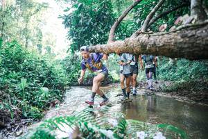 BIB: 
                            <button type="button" onclick="openModal(25445156)" class="btn btn-primary btn-sm float-right btn-popup" data-toggle="modal" data-target=".modal-high-quality">
                        <i class="fas fa-shopping-cart"></i> Add to Cart
                    </button>
                                            <button type="button" onclick="isThisMe(25445156, true)" class="btn btn-success btn-sm float-right btn-popup btn-isme hidden" data-toggle="tooltip" data-placement="bottom" title="นี่คือรูปของคุณใช่ไหม คลิกที่นี่เพื่อเอาเข้าอัลบั้ม">
                        <i class="fas fa-plus"></i> Add to album
                    </button>
                    <button type="button" onclick="isThisMe(25445156, false)" class="btn btn-warning btn-sm float-right btn-popup btn-isnotme hidden">
                        <i class="fas fa-ban"></i> Remove from album
                    </button>